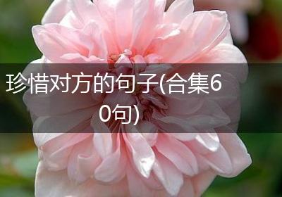 珍惜对方的句子(合集60句)