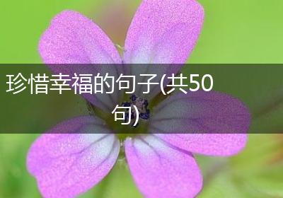 珍惜幸福的句子(共50句)