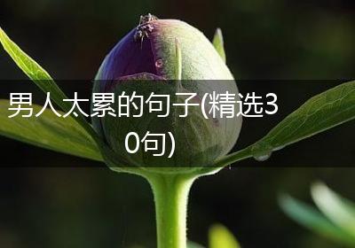 男人太累的句子(精选30句)