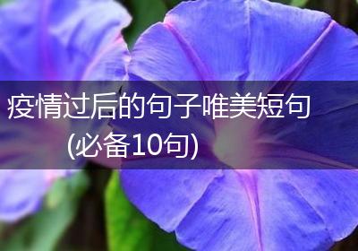疫情过后的句子唯美短句(必备10句)