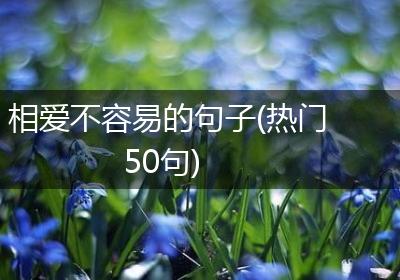 相爱不容易的句子(热门50句)
