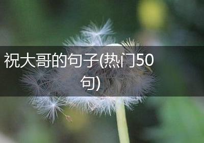 祝大哥的句子(热门50句)