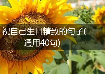 祝自己生日精致的句子(通用40句)