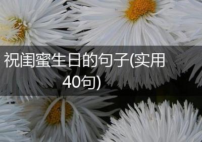 祝闺蜜生日的句子(实用40句)