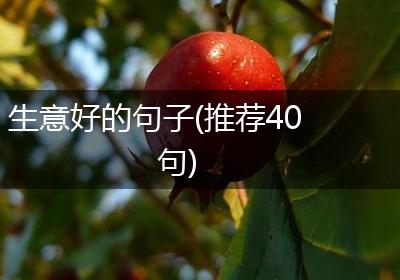 生意好的句子(推荐40句)