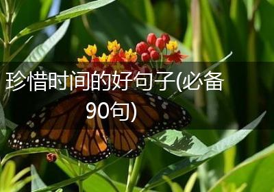 珍惜时间的好句子(必备90句)