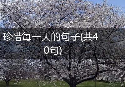 珍惜每一天的句子(共40句)