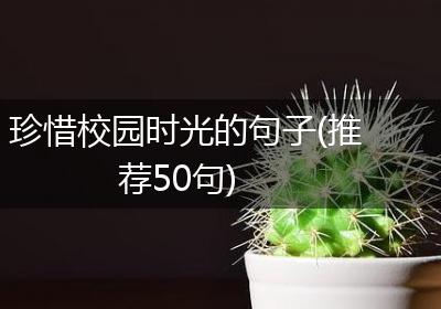 珍惜校园时光的句子(推荐50句)