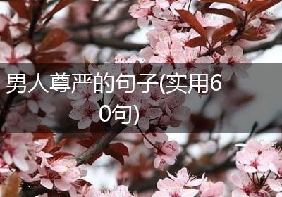 男人尊严的句子(实用60句)
