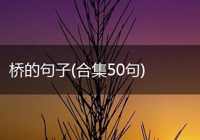 桥的句子(合集50句)