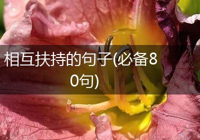 相互扶持的句子(必备80句)