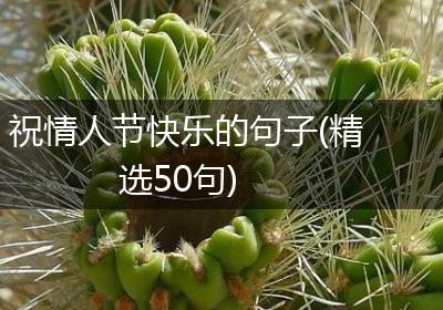 祝情人节快乐的句子(精选50句)