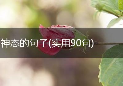 神态的句子(实用90句)