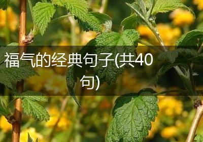 福气的经典句子(共40句)
