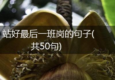 站好最后一班岗的句子(共50句)