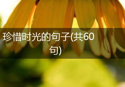 珍惜时光的句子(共60句)