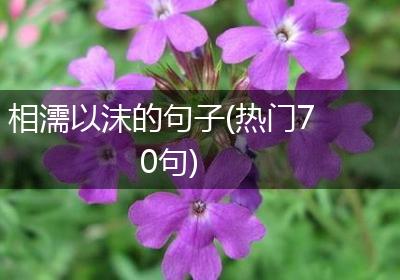 相濡以沫的句子(热门70句)