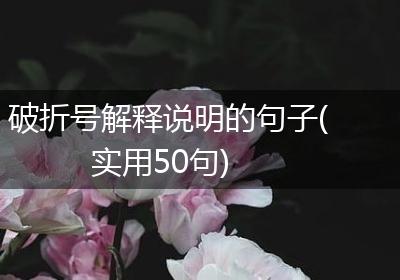 破折号解释说明的句子(实用50句)