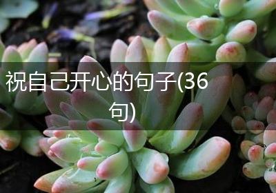 祝自己开心的句子(36句)