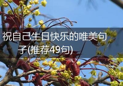 祝自己生日快乐的唯美句子(推荐49句)