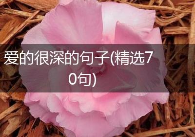 爱的很深的句子(精选70句)