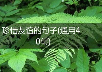 珍惜友谊的句子(通用40句)