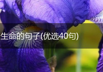 生命的句子(优选40句)