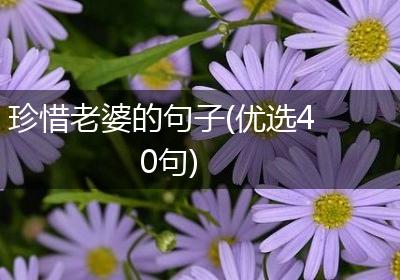 珍惜老婆的句子(优选40句)