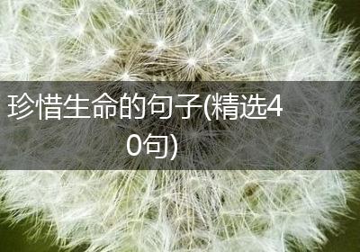 珍惜生命的句子(精选40句)