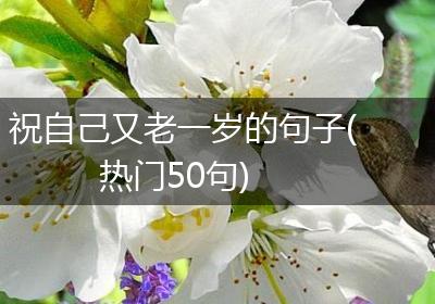 祝自己又老一岁的句子(热门50句)