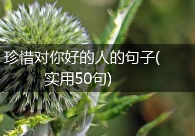 珍惜对你好的人的句子(实用50句)