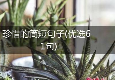 珍惜的简短句子(优选61句)