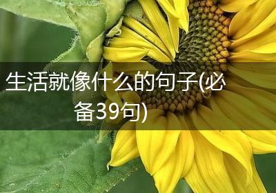 生活就像什么的句子(必备39句)
