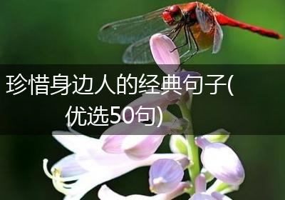 珍惜身边人的经典句子(优选50句)