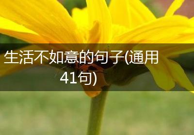 生活不如意的句子(通用41句)