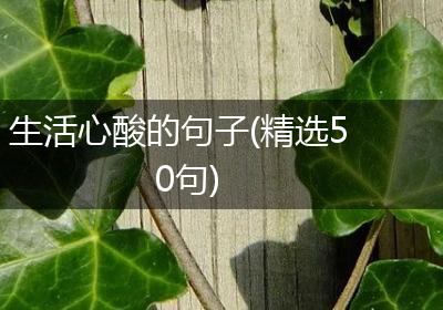 生活心酸的句子(精选50句)