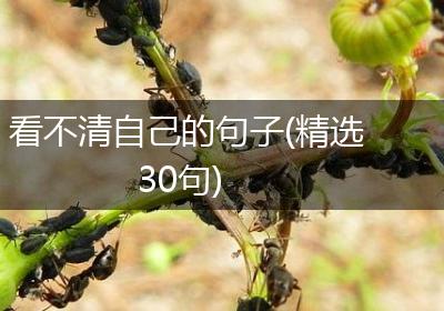 看不清自己的句子(精选30句)