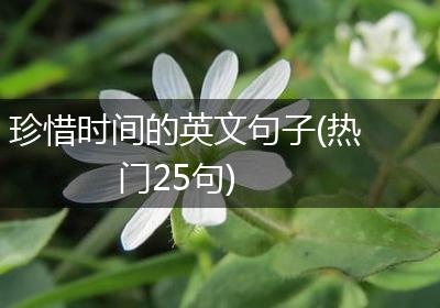 珍惜时间的英文句子(热门25句)