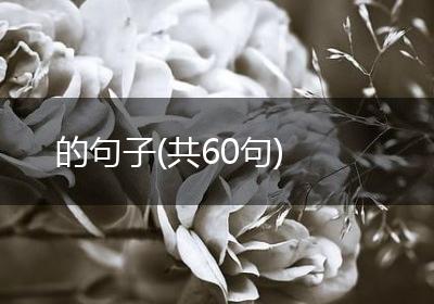 的句子(共60句)