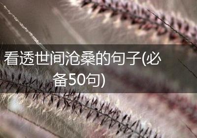看透世间沧桑的句子(必备50句)