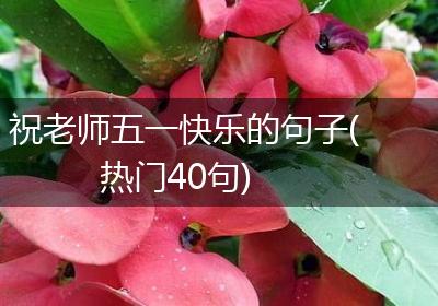 祝老师五一快乐的句子(热门40句)