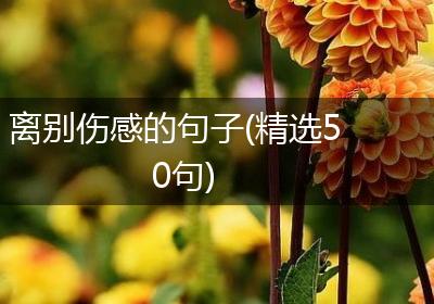 离别伤感的句子(精选50句)