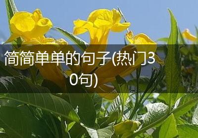简简单单的句子(热门30句)