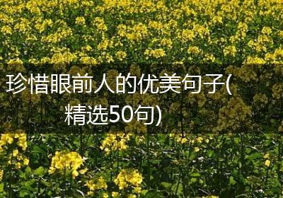 珍惜眼前人的优美句子(精选50句)