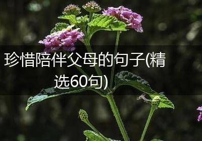 珍惜陪伴父母的句子(精选60句)