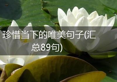 珍惜当下的唯美句子(汇总89句)