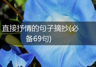 直接抒情的句子摘抄(必备69句)