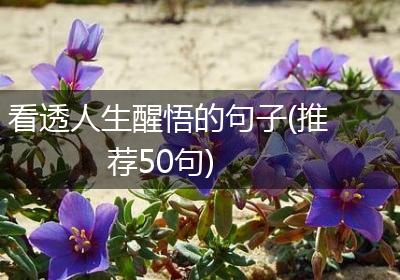 看透人生醒悟的句子(推荐50句)