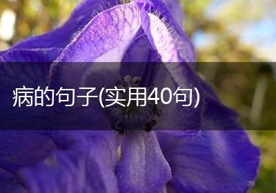 病的句子(实用40句)