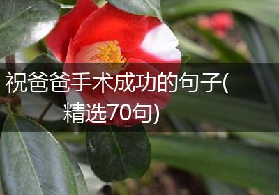 祝爸爸手术成功的句子(精选70句)